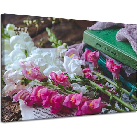 Stampa su tela Botanica Bocche di leone 120x80 cm Bouquet di fiori