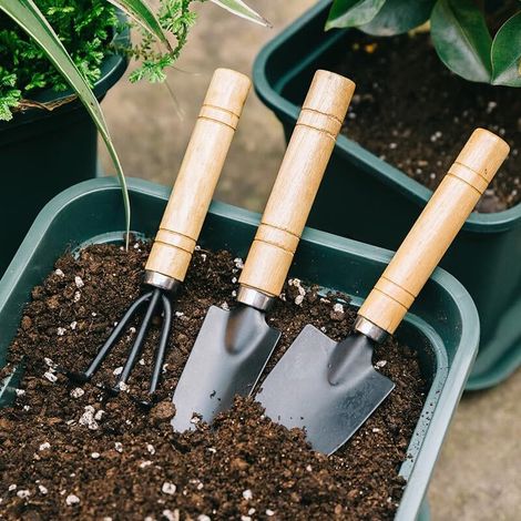 Generic Lot de 3 outils de jardin – Petite pelle de jardin, mini râteau, truelle – Marron clair, acier inoxydable et cadre en fer – Compact et facile à manipuler – Jardin