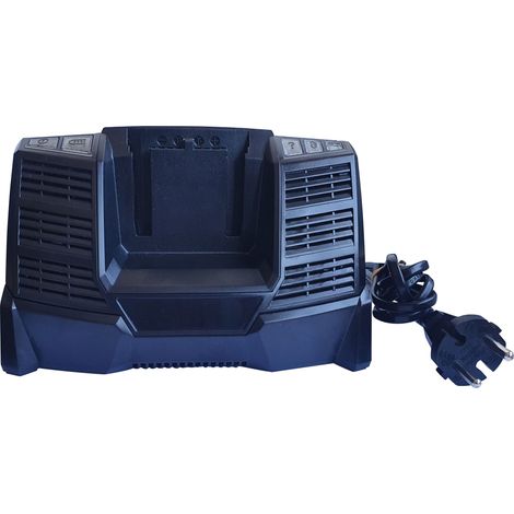 Cargador de red para batería de prensadora NOYON & THIEBAULT 380101