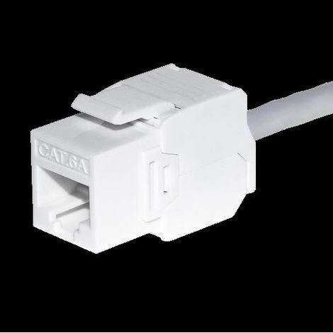 Modulo Keystone Jack RJ45 Cat. 6A UTP, senza attrezzi, bianco Netrack