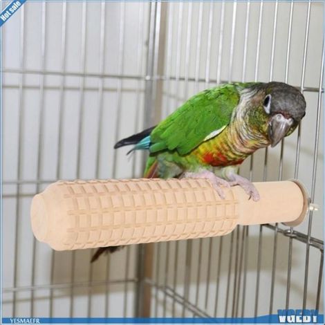 Ashata Support de perche de perroquet Cage à Oiseaux, Jouet de Perche, Griffes de Meulage en Bois écologiques, animalerie jouet (1/5)