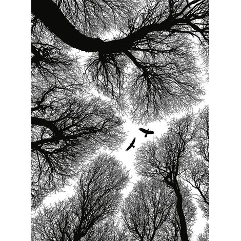 Papier peint panoramique noir & blanc cime des arbres | Tapisserie panoramique forêt & oiseaux | Papier peint panoramique moderne escalier - 192 X 260 cm (4 pièces) (1/2)