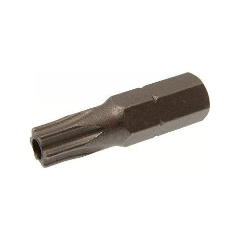 Embout Inviolable TORX T30-10 pièces