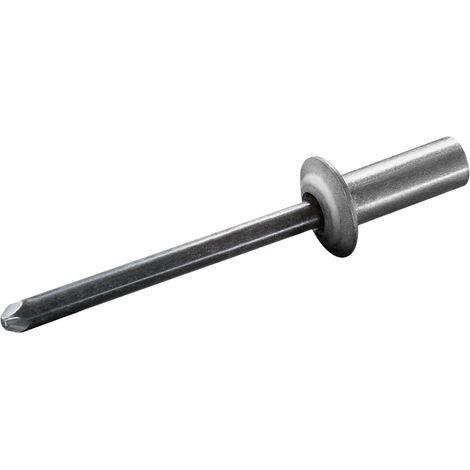 GOEBEL - 250 x Rivets étanches 6,4 x 16 mm - Aluminium AlMG 5,0/ Acier zingué - Tête plate - CUP - 2170164160 - ISO15973 (1/5)
