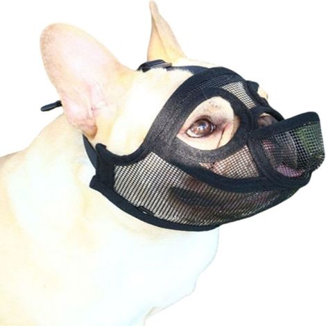 Muselière Bouledogue français(Taille M), pour Petits Chiens, en Maille Respirante, Permet de Boire et de Manger, Anti-aboiements - Muselière pour Chien (1/5)