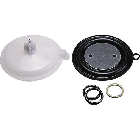 Reparatur Membrane