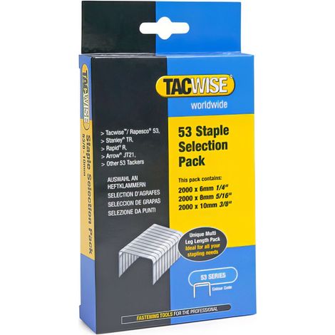 Boîte de 6000 agrafes type 53 L 6/8/10 mm – Acier galvanisé pour agrafage net – Compatibles avec Tacwise Z1-53, Z3-53, 53EL