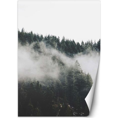 Papier peint Forêt dans le brouillard Montagnes 100x140 (1/5)