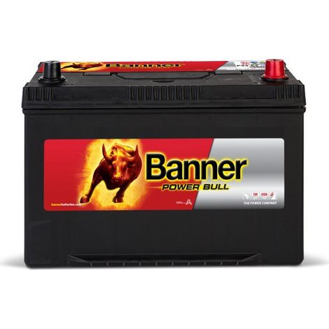 Batterie voiture 12V 95Ah 740A – P9504 – Technologie plomb-calcium – Puissance de démarrage fiable – Dimensions 306x174x222mm – Banner