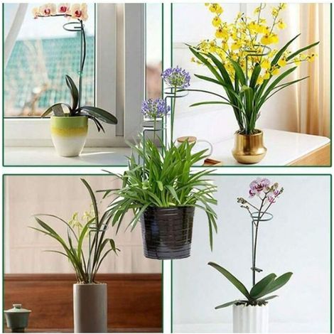 Ensemble de 6 supports pour plantes en fer, structure de jardin surélevée, support pour plantes grimpantes en pot, outils de jardinage essentiels pour l'intérieur et l'extérieur (25 cm) (1/3)