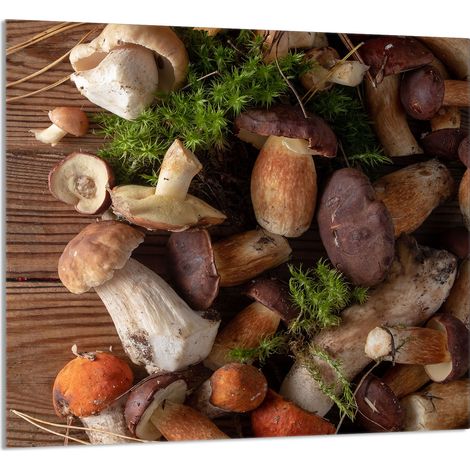 PANNELLO IN VETRO PER CUCINA 65x60 Funghi (1/5)