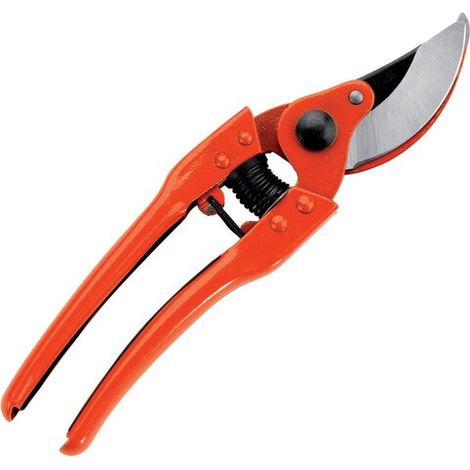 Astschere 23 cm, integrierte Klinge