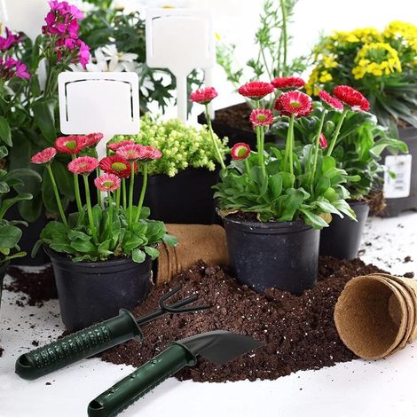 Pelle de Jardin,Lot de 4 Outils à Main de Plantation Robustes avec poignée Ergonomique Kit de pelles à Main pour succulentes avec désherbeur et râteau, Outils de desserrage du Sol (1/3)
