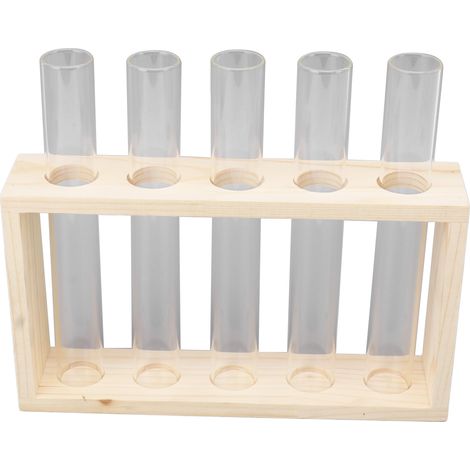 Terrarium transparent à 5 tubes à essai pour plantes, permettant d'observer la croissance des plantes et d'utiliser de l'eau. Support en bois pour herbes aromatiques et bûches. (1/5)