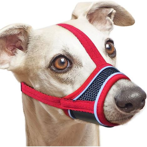 Questa museruola regolabile, realizzata in nylon riflettente, è morbida e confortevole e dotata di un sistema di regolazione. È adatta a cani di piccola taglia. (1/5)