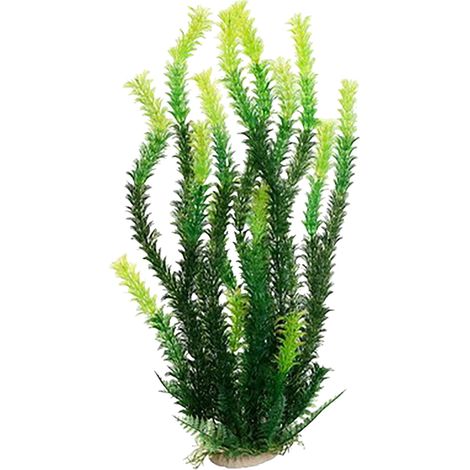 Plante Artificielle - Pour Aquarium - Base En Pierre - En Plastique Durable Et Sécurisé Pour Poissons - Compatible Eau Douce Et Eau De Mer - 1 Pièce (1/3)