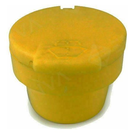 BRAVIX Couvercle de Bouteille de Lave-glace Compatible avec 289130004R (1/4)