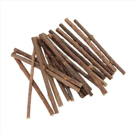 20 natürliche Silberreben-Sticks für Nagetiere, gesundes Knabbern, 20er-Packung, Silberholz, Kauspielzeug (1/5)