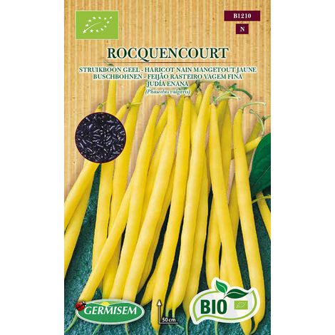 Graines Haricot nain mangetout ROCQUENCOURT