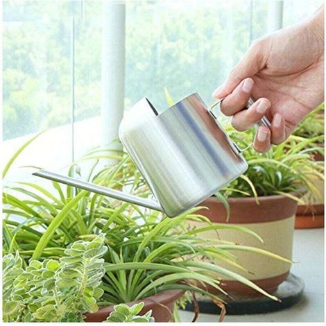 Arrosoir à longue bouche en acier inoxydable, pour plantes, fleurs, intérieur, patio, jardin, bureau, extérieur (300 ml) (1/3)