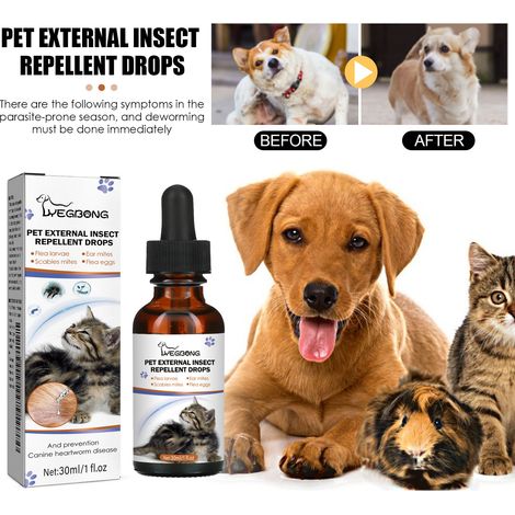 Gouttes/spray antiparasitaire externe pour chiens et chats, nettoyant et éliminant les poux, les tiques et les puces -- 30 ml -- AUTLEAD (1/5)