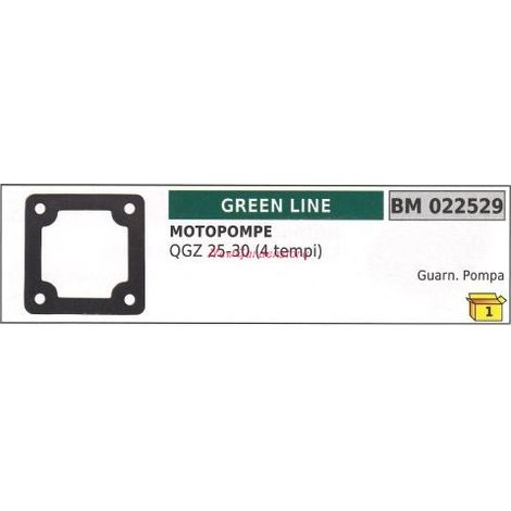 Guarnizione GREENLINE motopompa QGZ 25 30 4 TEMPI 022529