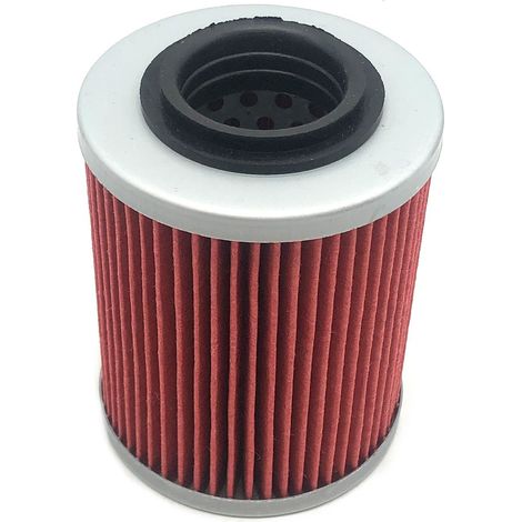 Le filtre à huile convient aux modèles Rotax RB-X3339 ZKL-078 420256188 et 420230920.