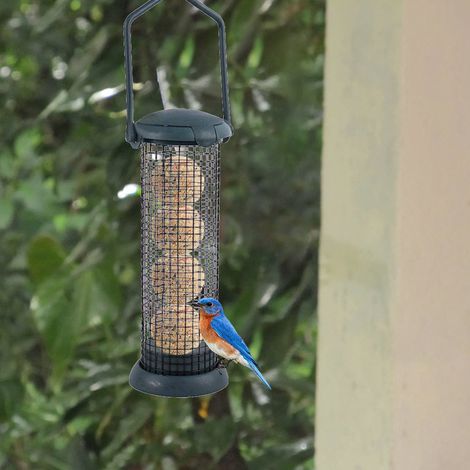 Hängendes Futterhaus für Wildvögel, Meisenknödelspender für den Garten (1/5)