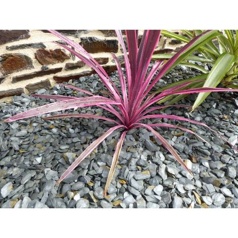 Schiefermulch GRAU 10-30 - Pack 5 m² - 12 Säcke - 300 kg