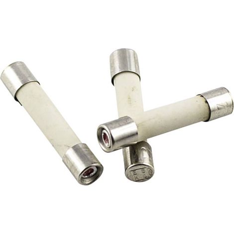 ESKA 52727 Fusibile (Ø x L) 5 mm x 25 mm 10 A 250 V Rapido Contenuto 10 pz.