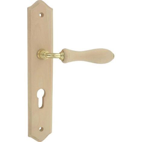 Ensemble de porte - DT 2000 - Bois Rustique - Clé I - Cylindre - Bois brut