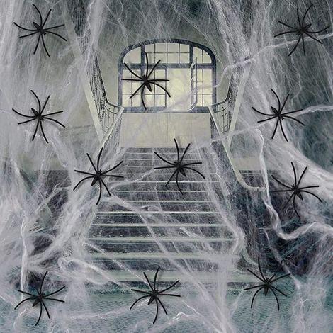 Toile d'araignées, Halloween Décoration, 300g Toile Araignée Extensibles Coton et 60 Fausses Araignées pour Halloween (1/4)