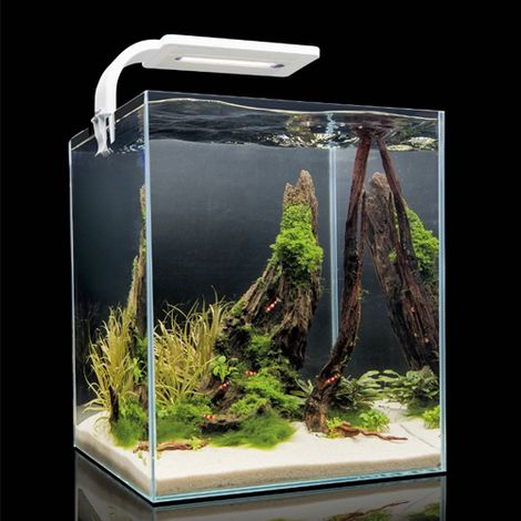 Set de acuario Aquael Shrimp Set Día y Noche 10L Blanco -