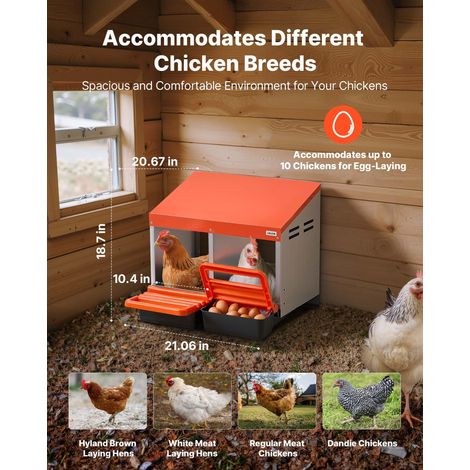 Pondoir à Poules 2 Compartiments Nichoir à Poule en Acier Galvanisé Plastique Haute Résistance pour Différentes Races de Poules, avec Plateau Incliné Espace de Ponte Spacieux, 53,5x52,5x47,5 cm (1/5)
