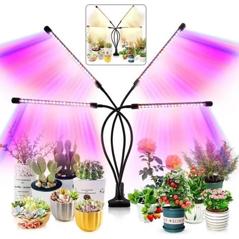 Lampe de Culture pour Plantes d'Intérieur, 80 LEDs avec Minuterie et Intensité Variable Odipie (1/4)