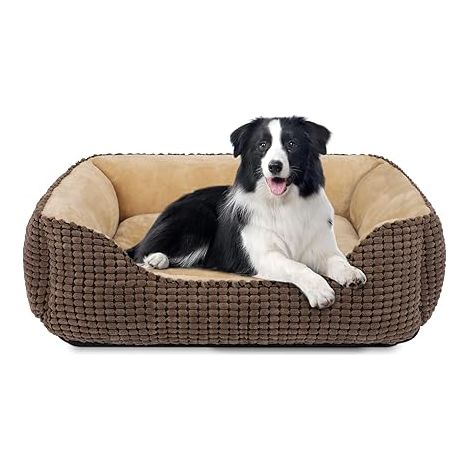Panier pour Chien Moyen Taille, Lit Chien Lavable, Antidérapant Coussin Doux pour Moyen Grande Chiens et Chats, 76x61x23cm (1/5)