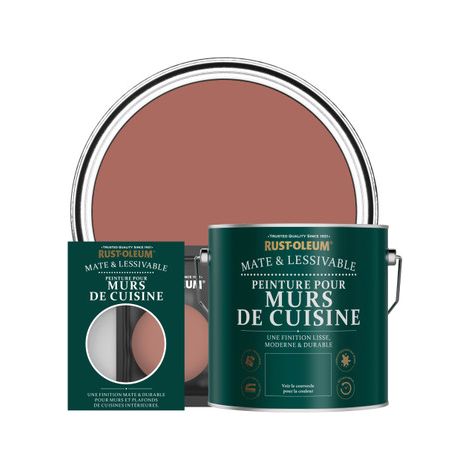 Peinture pour Murs de Cuisine, Finition Mate - Saumon (1/2)