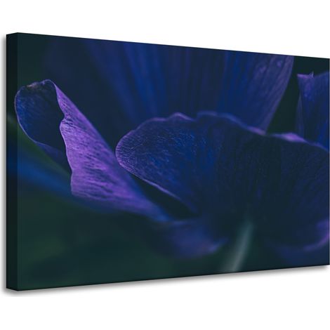 Leinwanddruck Botanik Lila Blütenblätter 90x60