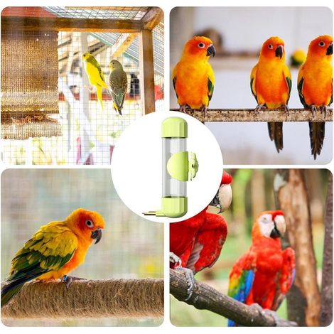 200ml Green Parrot Water Feeder  Large Capacity Pet Bird Hanging Water Bowl
