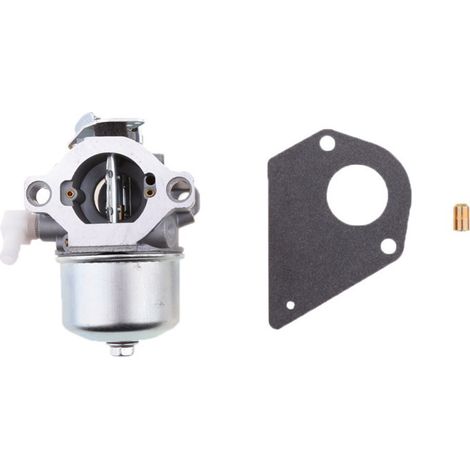 Carburateur de remplacement Briggs & Stratton - références 495782 494894 (1/4)