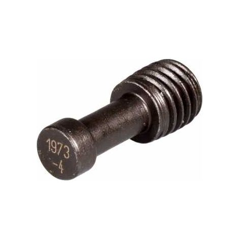 Bolzen 1973-4 (1/4)