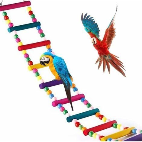 Jouet pour oiseau – Échelle en bois naturel 80 cm – Balançoire pour perroquets, perruches, conures – Non toxique, flexible, s'adapte à toutes cages (1/5)