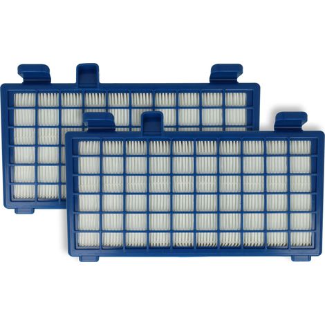 vhbw 2x Filtre compatible avec Rowenta X-Trem Power Cyclonic RO6245ea/410, RO6245pa/410, RO6252 aspirateur - Filtre HEPA contre les allergies