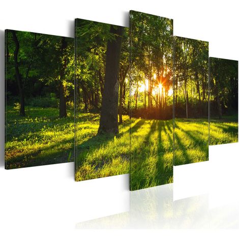 Quadro - Riflessione silvestre - 200x100 (1/4)