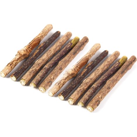 Bardusch - Lot de 10 bâtonnets à mâcher pour chatons, jouet interactif à l'herbe à chat et à la cataire. (1/4)