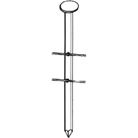 15 600 Pointes Lisses 16° (Coil) - 2.1x50 mm - D-Work (1/2)