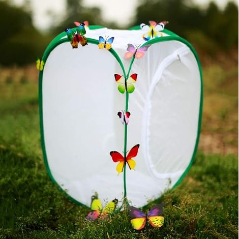 Filet de protection contre les oiseaux, filet anti-insectes, couverture de protection des plantes (1/5)
