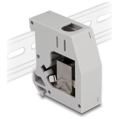 Delock Adaptador de carril DIN con mÃ³dulo Keystone RJ45 hembra a RJ45 hembra Cat.6A