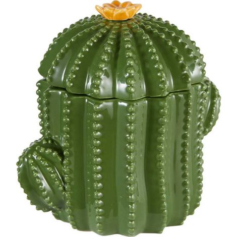 Boîte Cactus Déco en Céramique "Yucatan" 16cm Vert (1/5)