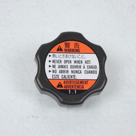Original-Kühlerdeckel für Suzuki Bandit 250, Baujahr 2000, (1/3)